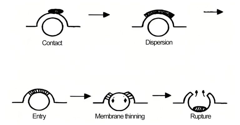 Silicone-Based Defoamers: Working Principles, Advantages ...