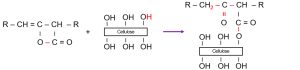 AKD + Cellulose-OH → Ester