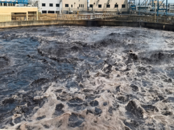 Amazon Chemicals and Polyether Antifoams: Reliable Foam Control Solutions for Global Industries