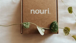 Eco-Friendly Oil & Water Repellents- How Paper Chemicals Support Sustainable Packaging