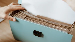 Introduction- The Importance of Filler Retention