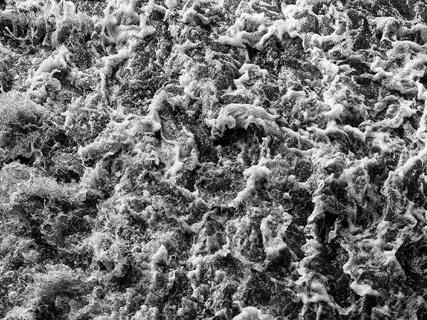 Polyether vs. Silicone Antifoams