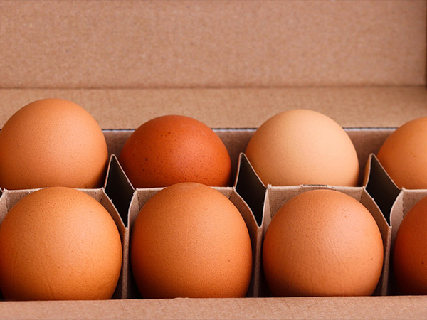 Wet Strength Agents for Food Packaging: Why They Matter