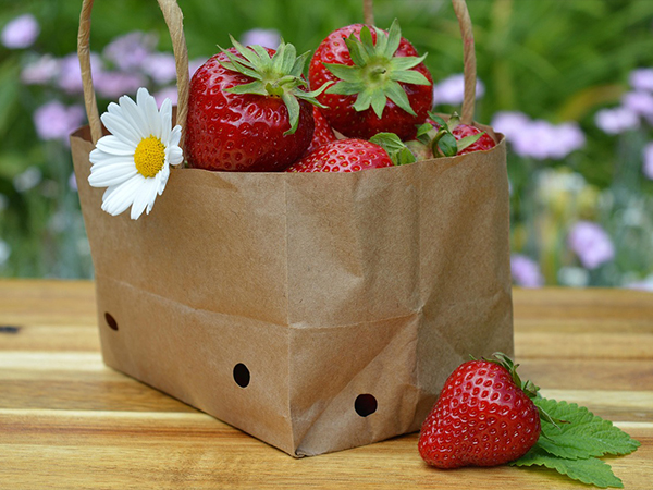 Revêtements barrières pour emballages en papier : équilibre entre protection et durabilité