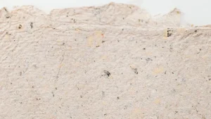 The Growing Role of Eco-Friendly Sizing Agents in Sustainable Papermaking