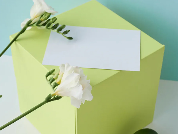 The Growing Role of Eco-Friendly Sizing Agents in Sustainable Papermaking